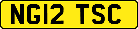 NG12TSC