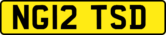 NG12TSD
