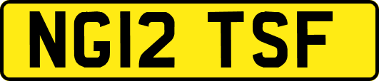 NG12TSF