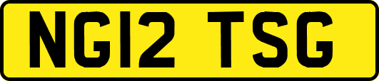 NG12TSG