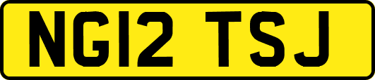 NG12TSJ