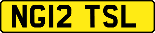 NG12TSL