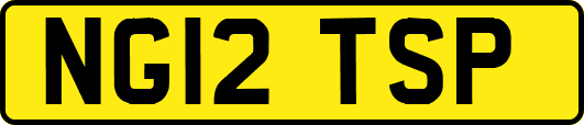 NG12TSP
