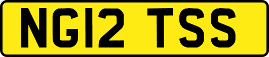 NG12TSS
