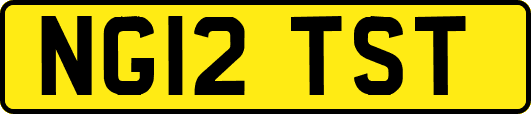 NG12TST