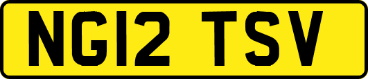 NG12TSV