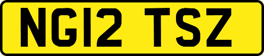 NG12TSZ