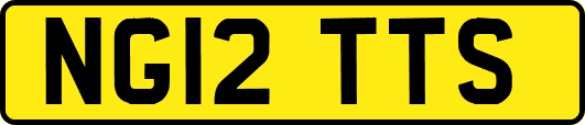 NG12TTS