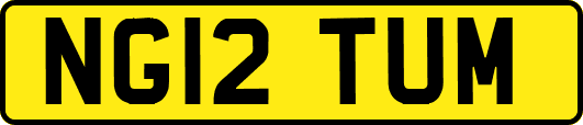 NG12TUM