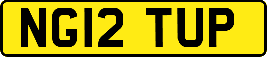 NG12TUP