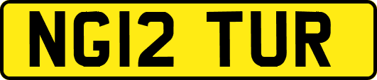 NG12TUR