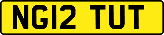 NG12TUT
