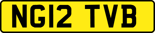 NG12TVB