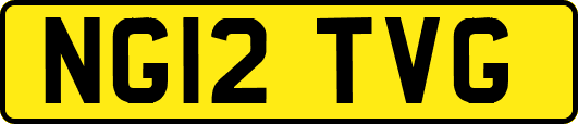 NG12TVG