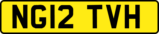 NG12TVH
