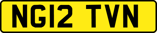 NG12TVN