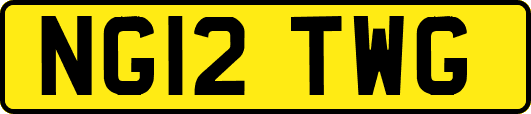 NG12TWG