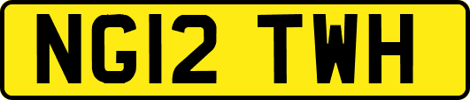 NG12TWH