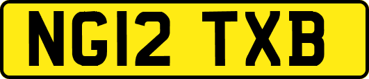 NG12TXB