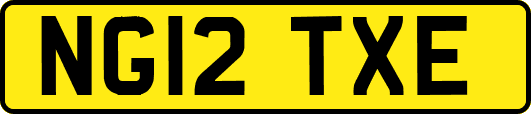 NG12TXE