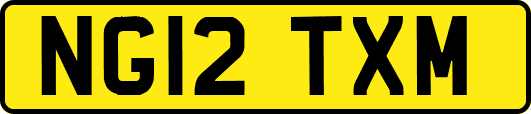 NG12TXM