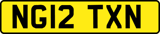 NG12TXN