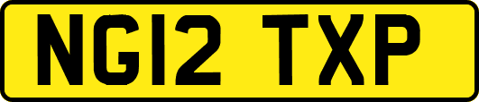NG12TXP