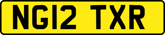 NG12TXR