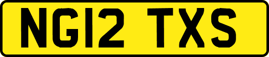 NG12TXS