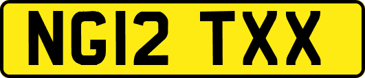 NG12TXX
