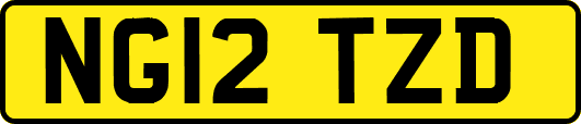 NG12TZD