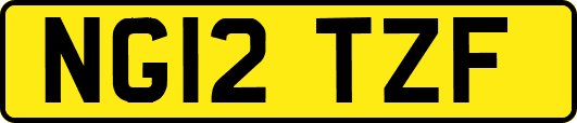NG12TZF