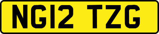 NG12TZG