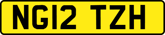 NG12TZH