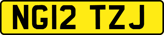 NG12TZJ