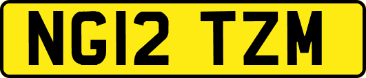 NG12TZM