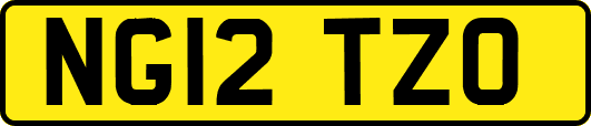 NG12TZO