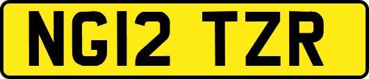 NG12TZR