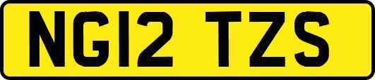 NG12TZS
