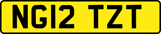 NG12TZT
