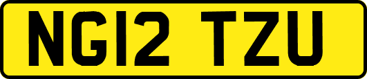 NG12TZU