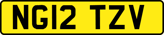 NG12TZV
