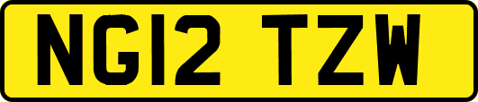 NG12TZW