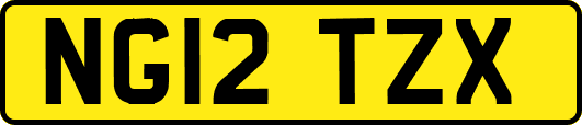 NG12TZX
