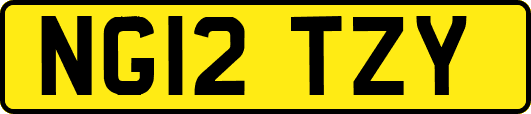 NG12TZY