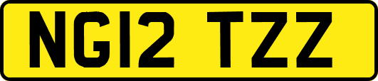 NG12TZZ