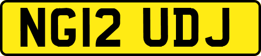 NG12UDJ