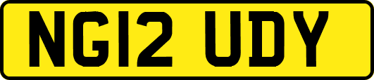 NG12UDY