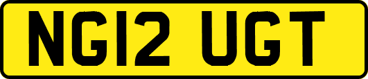 NG12UGT