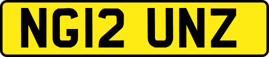 NG12UNZ